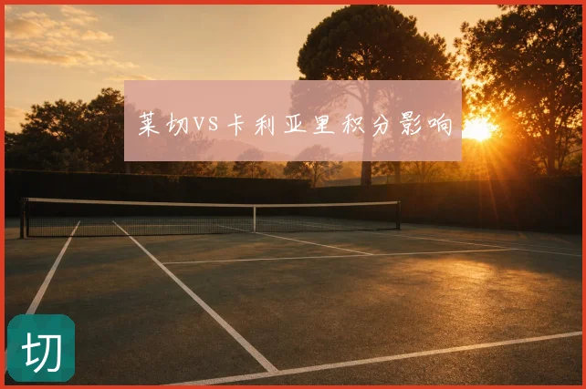 莱切vs卡利亚里积分影响